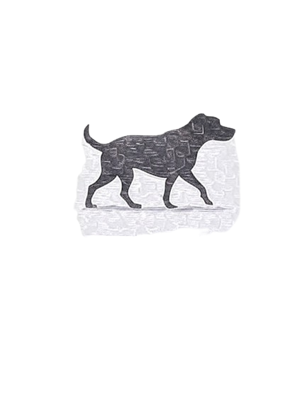 Logo de la app